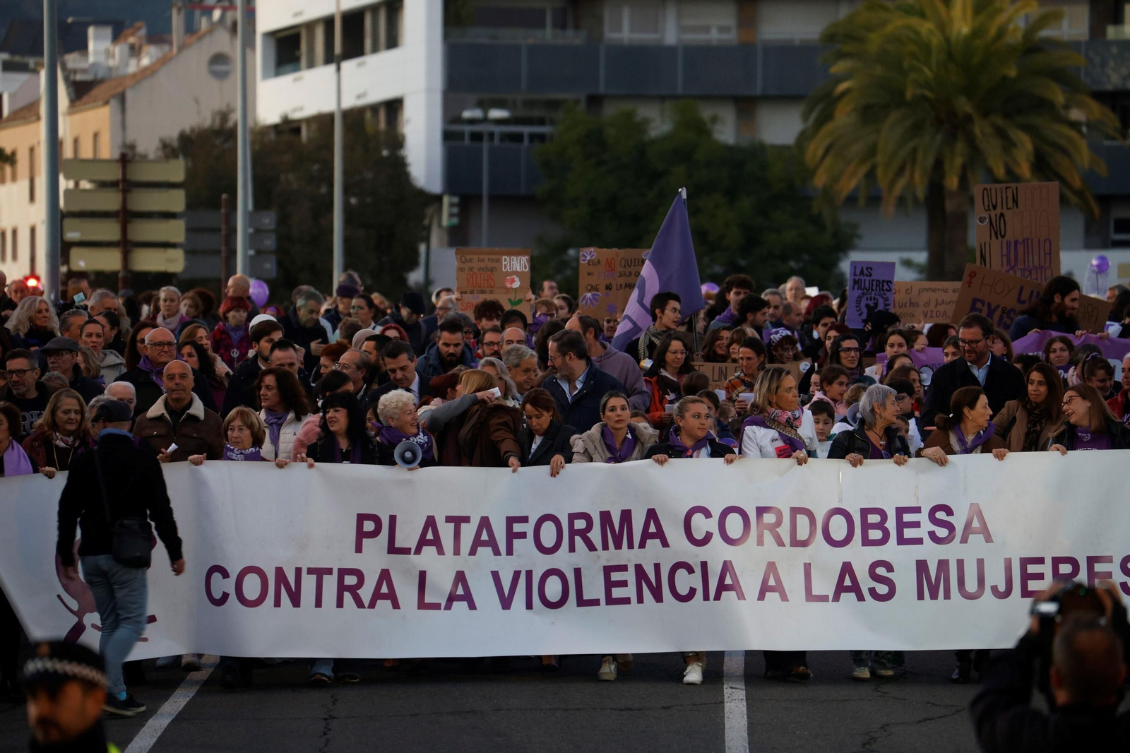 La manifestación del 25N en Córdoba