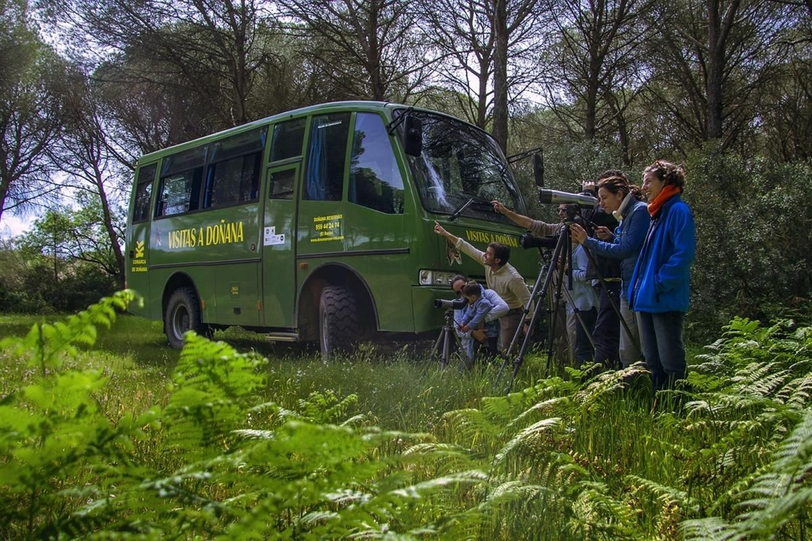 Actividades turísticas en Doñana.