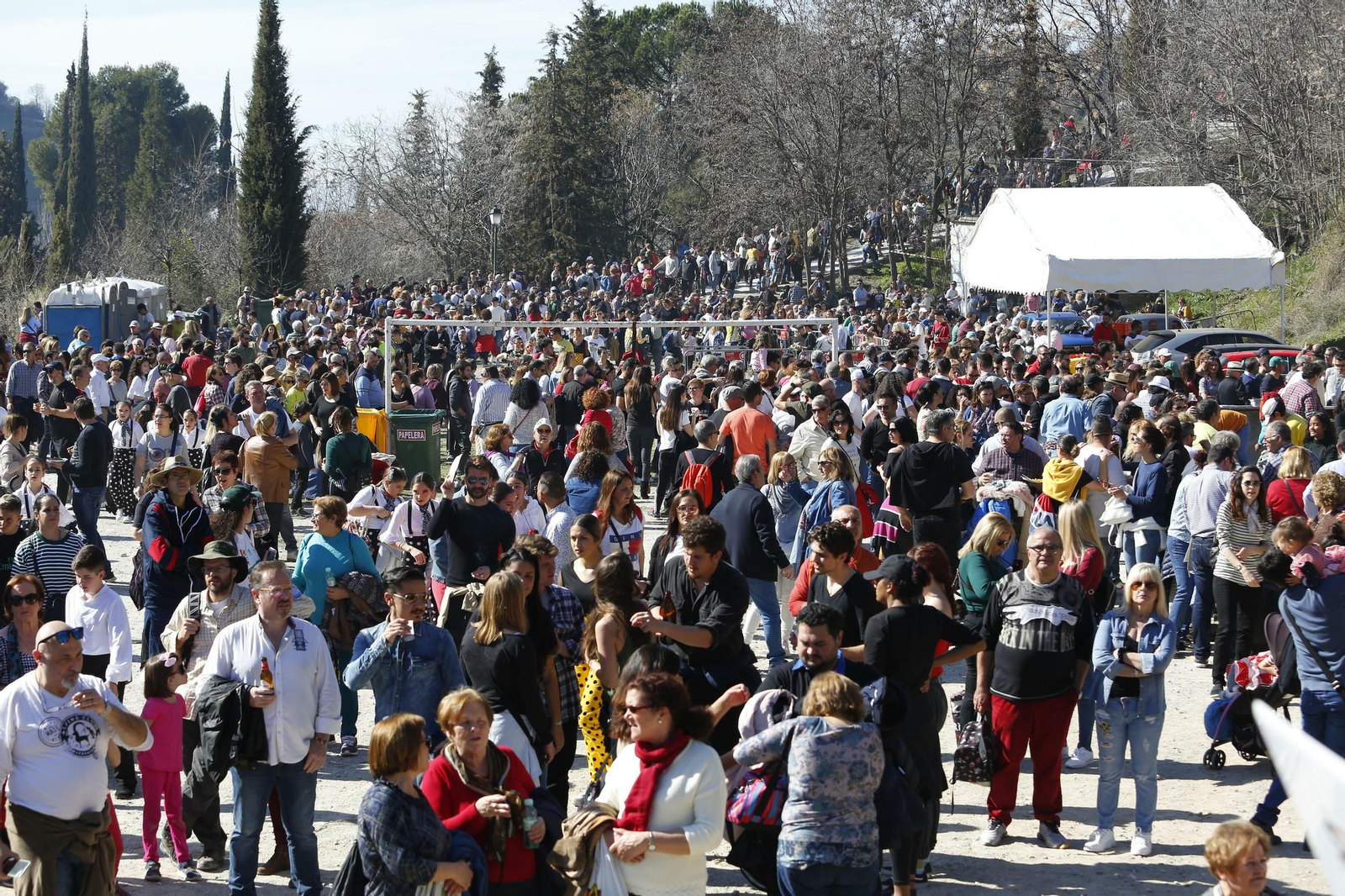 Las mejores imágenes de San Cecilio