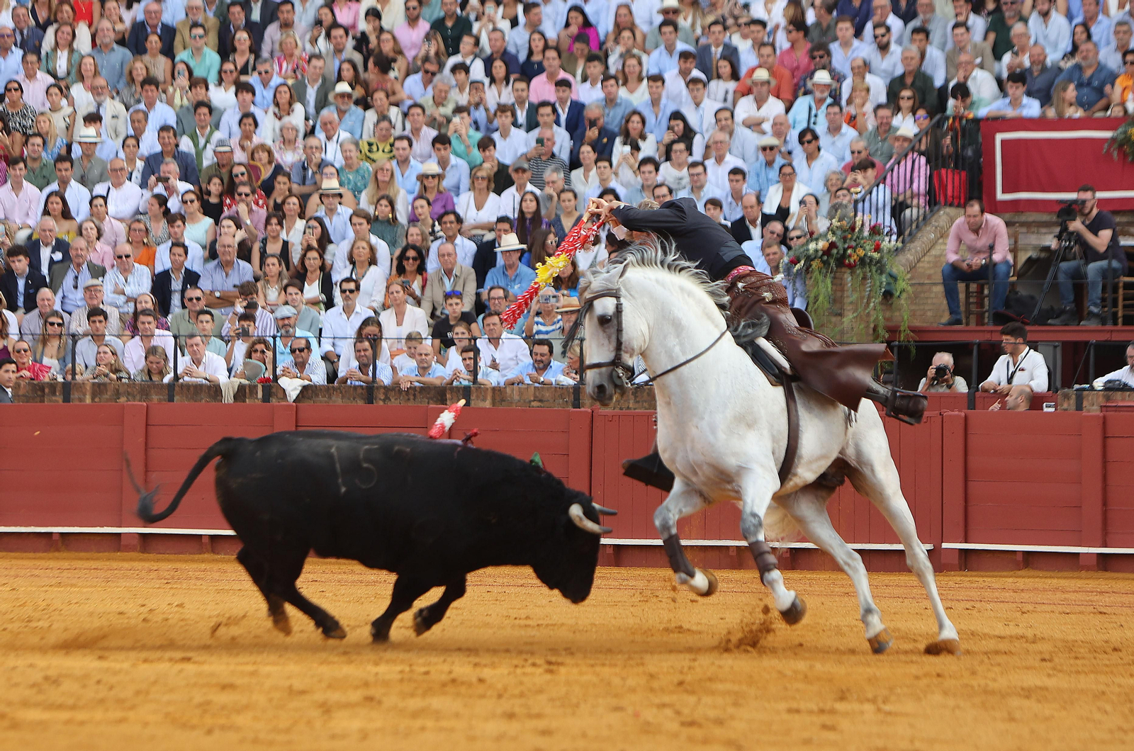 Fotos del Festival taurino a beneficio de l de la Hermandad del Rocío de Triana y de la Fundación Alalá