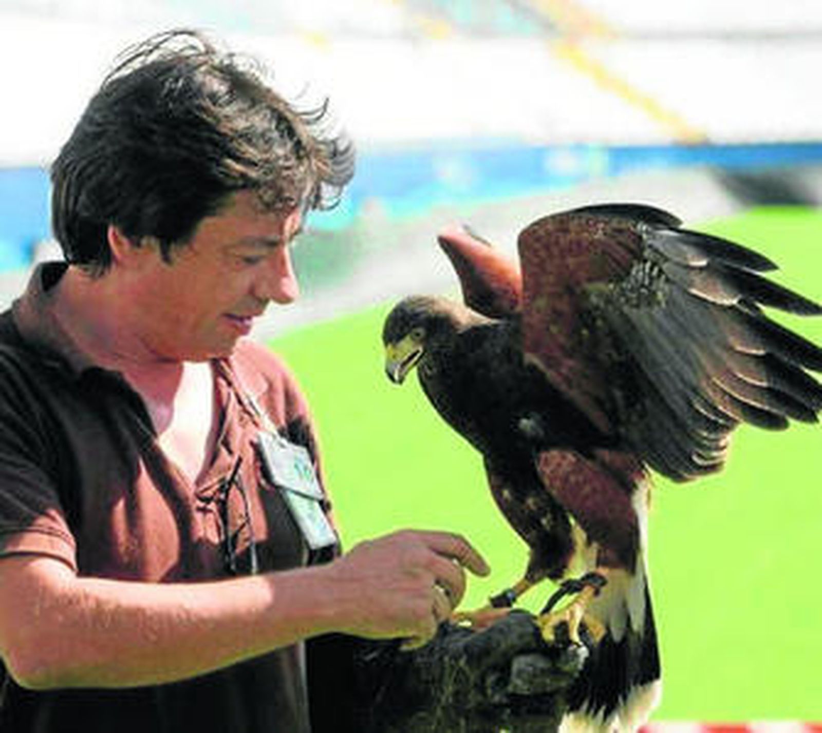 Federico Llopis, con el águila 'Harris'.