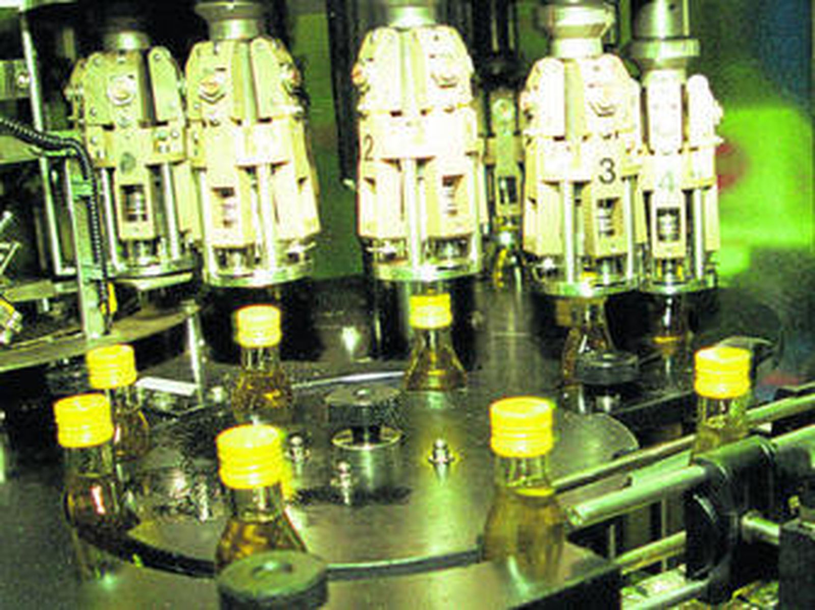 Hasta octubre no habrá aforo oficial de la aceituna de molino.