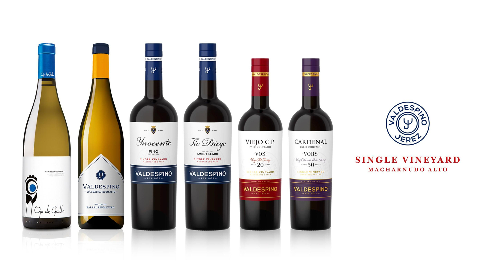 Valdespino, vinos únicos de gran personalidad y de los más reconocidos internacionalmente.