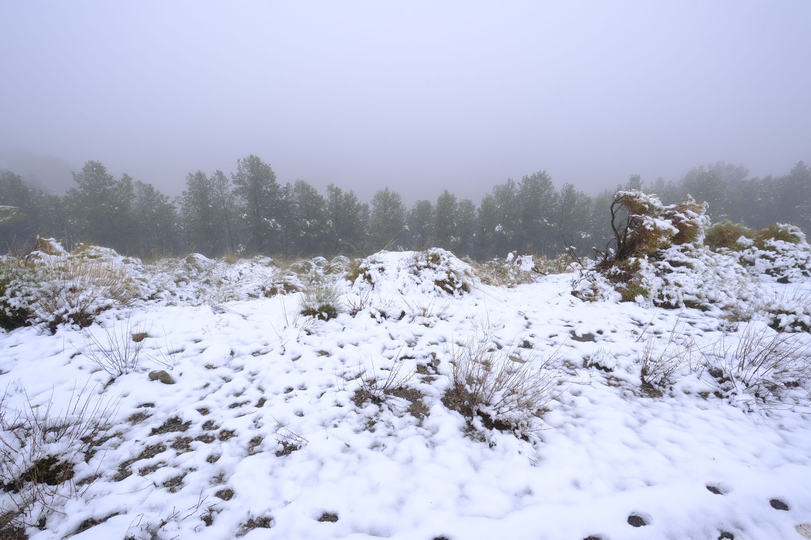 Fotogalería nevada en la Provincia de Almería