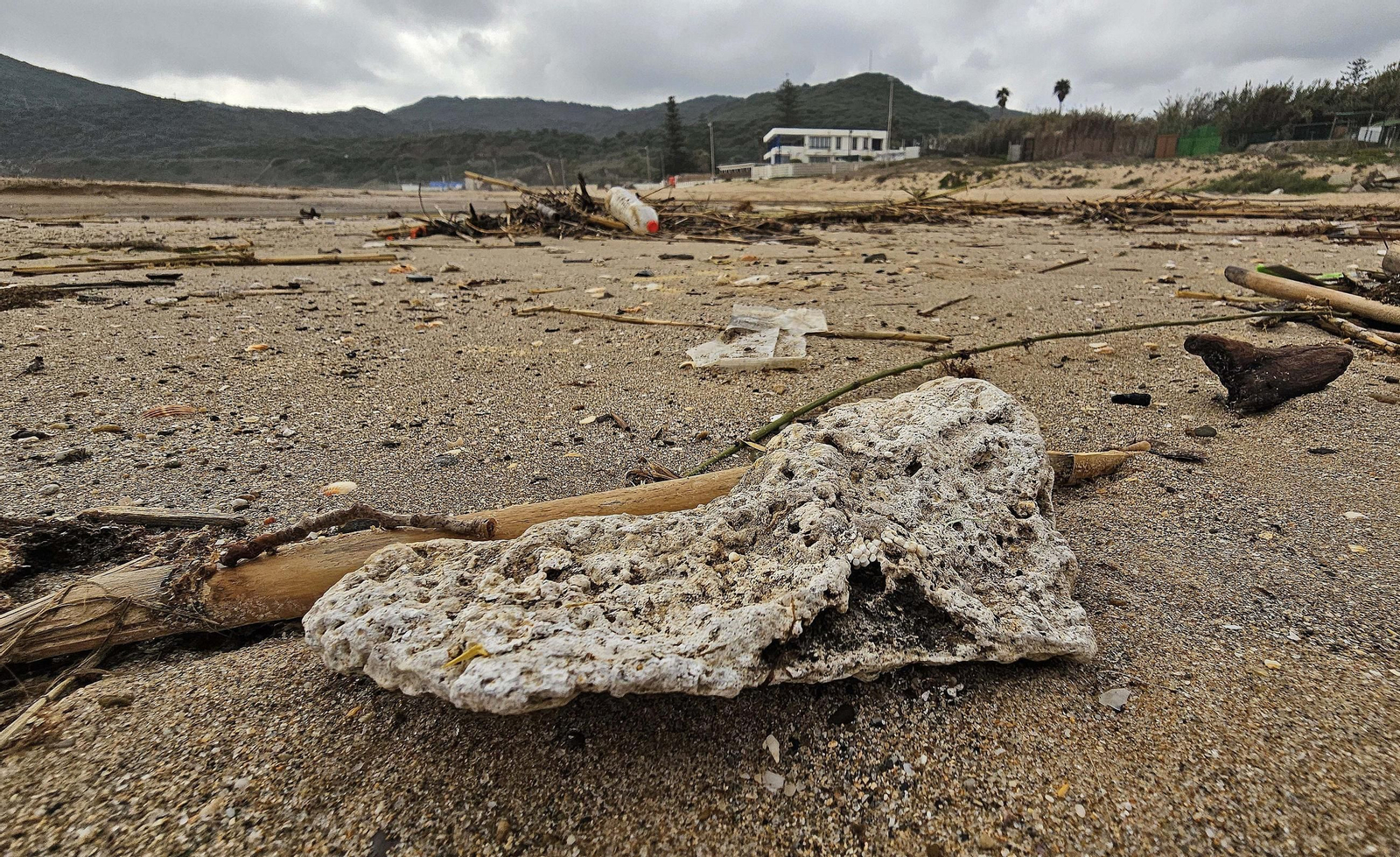 Fotos de la limpieza de las bolas blancas en la playa de Getares en Algeciras