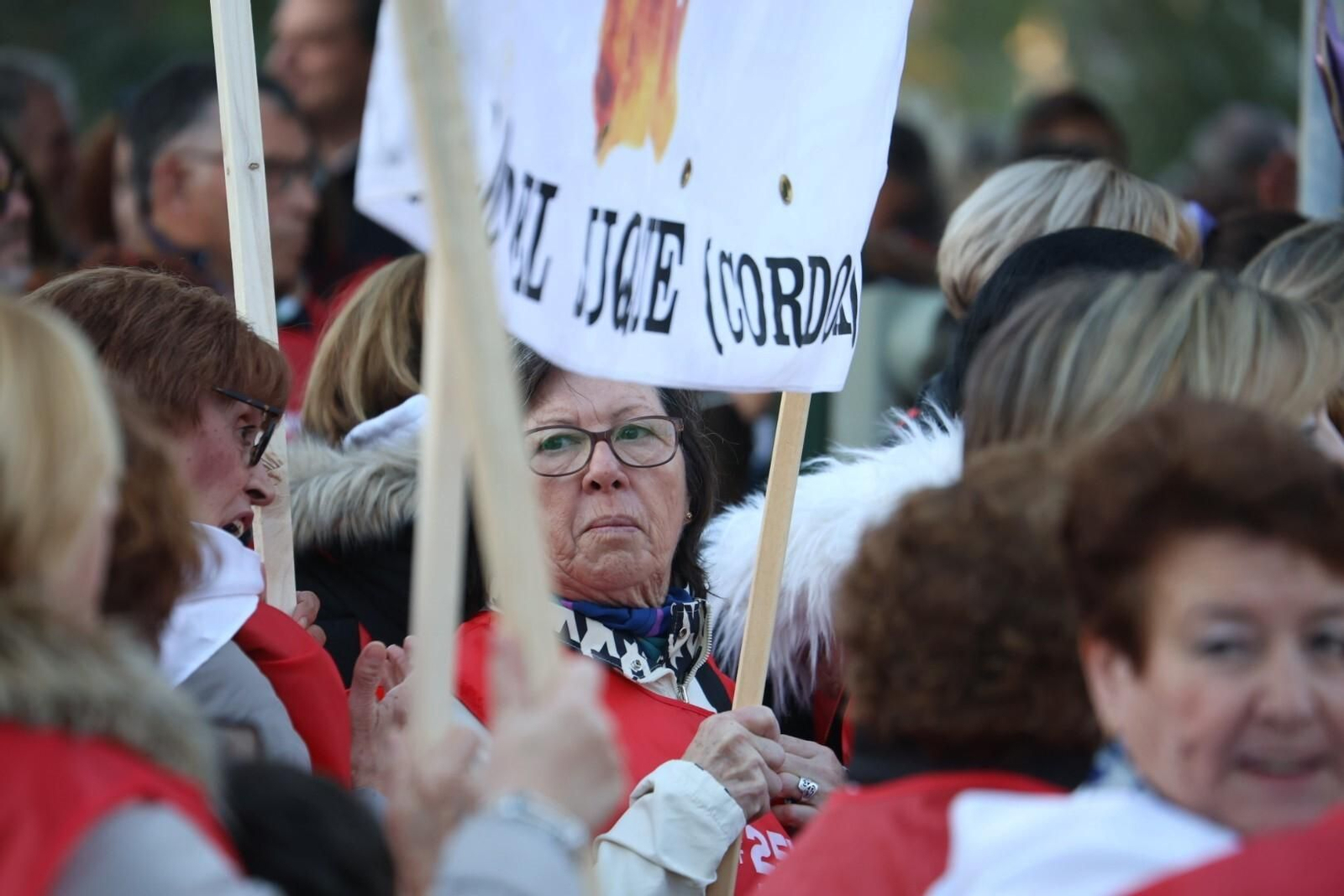 La manifestación del 25N en Córdoba, en imágenes