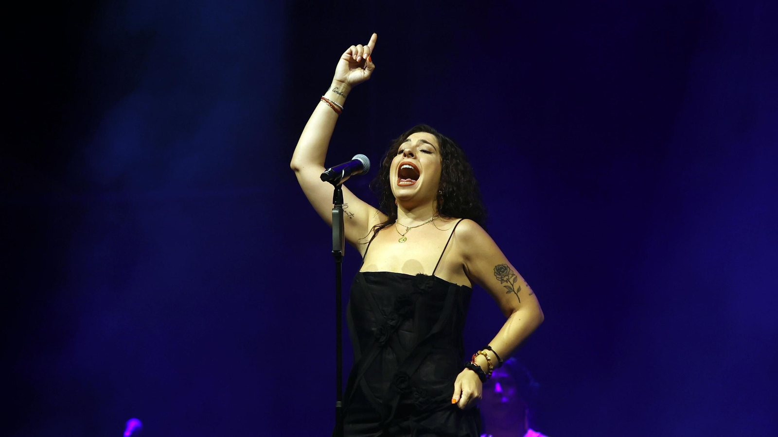 Imágenes de la 58 edición de la Fiesta de la Bulería en Jerez