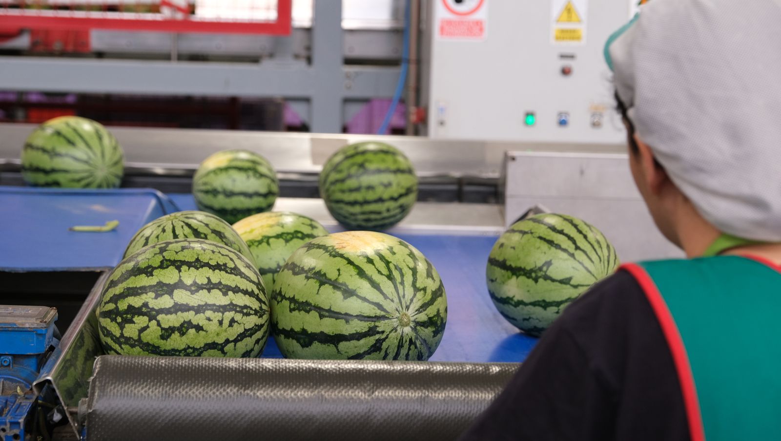 La IA llega a CASI, en imágenes