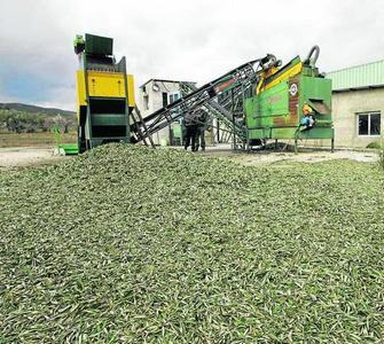 Instalaciones de una almazara en Fiñana.
