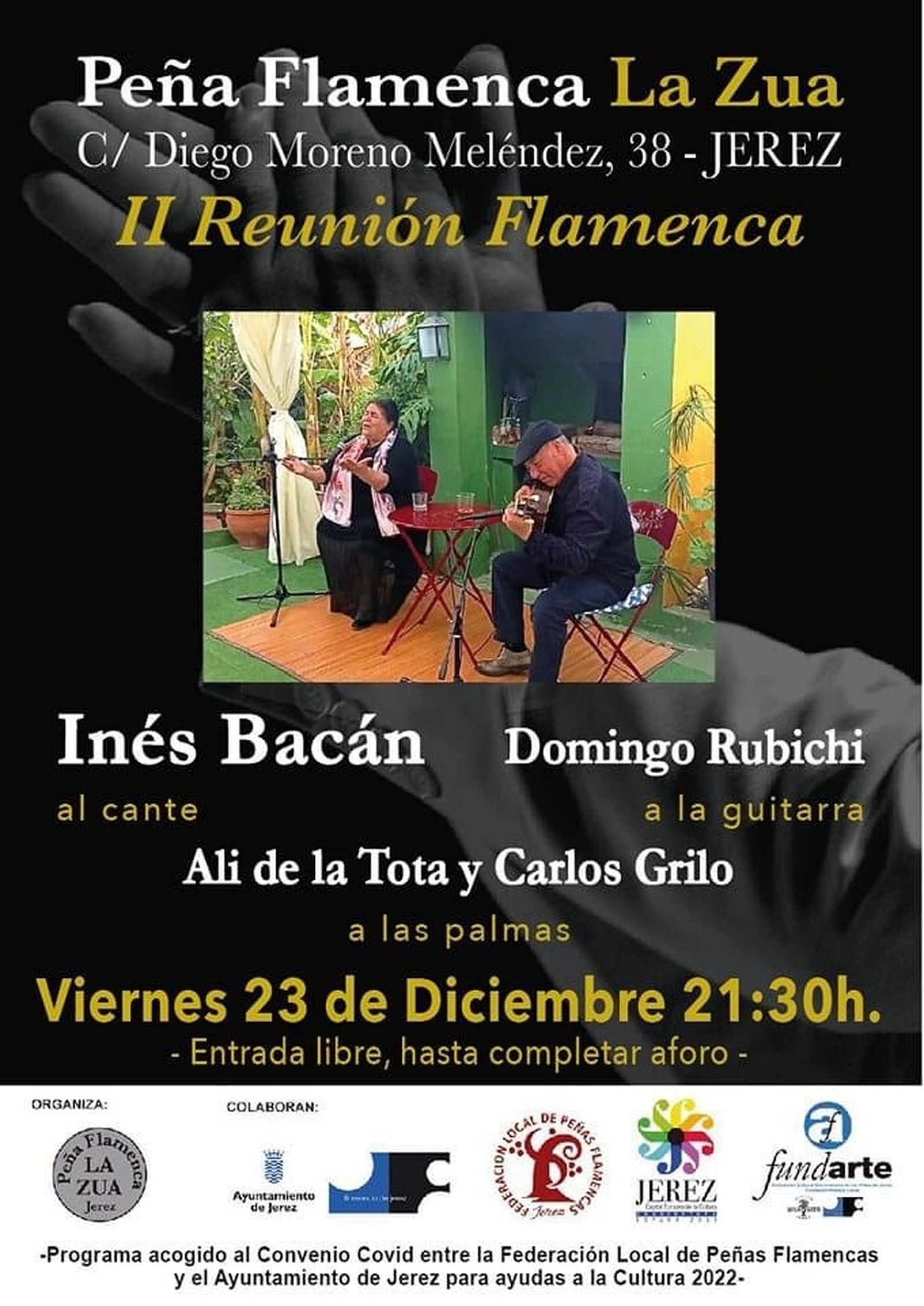 Peña Flamenca La Zua