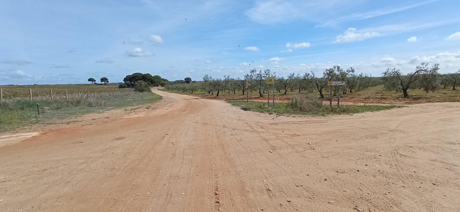 Las imágenes de la Ruta Azul en Bollullos de la Mitación