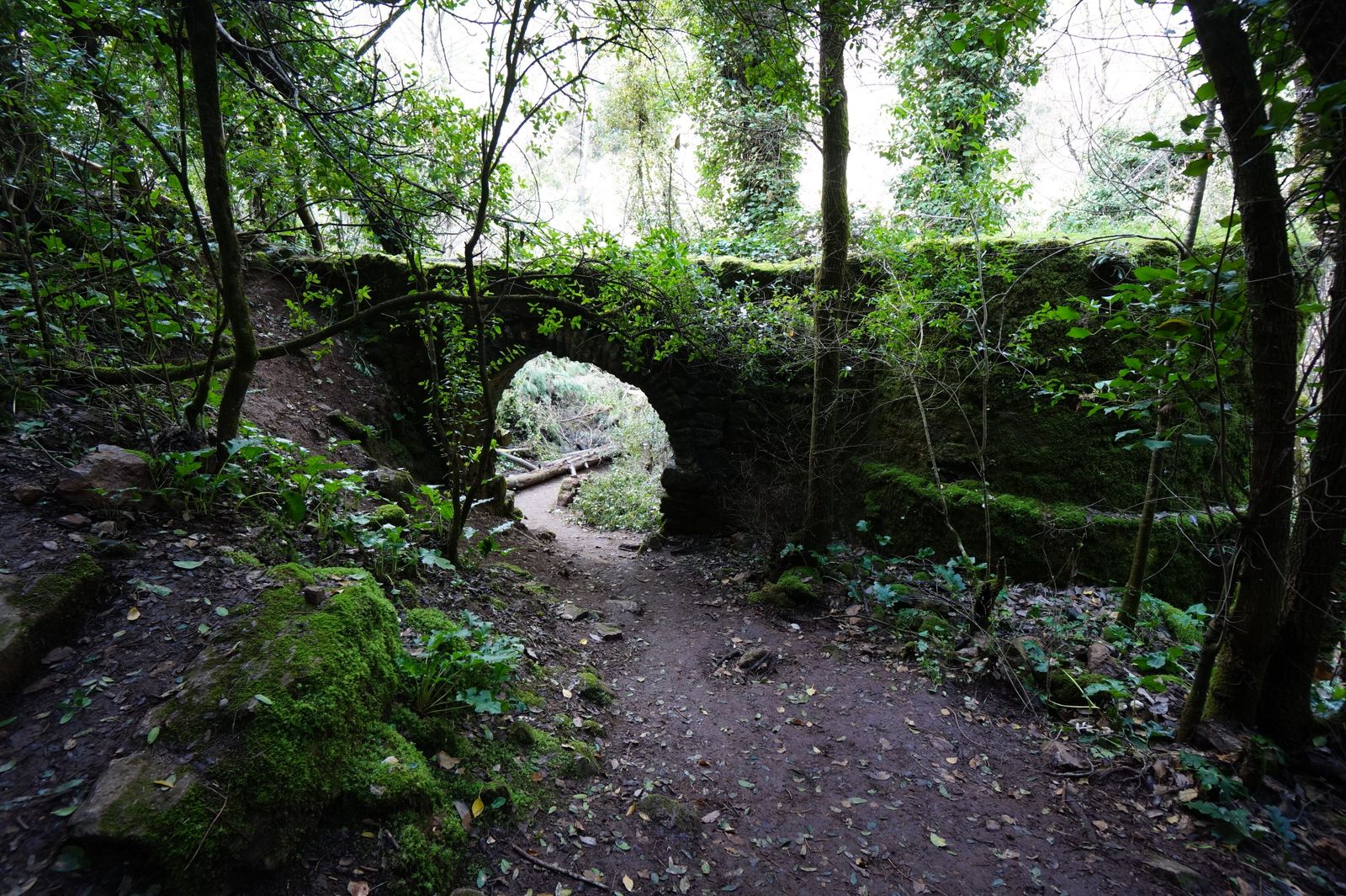 Una ruta por los Baños de Popea en Córdoba, en fotografías