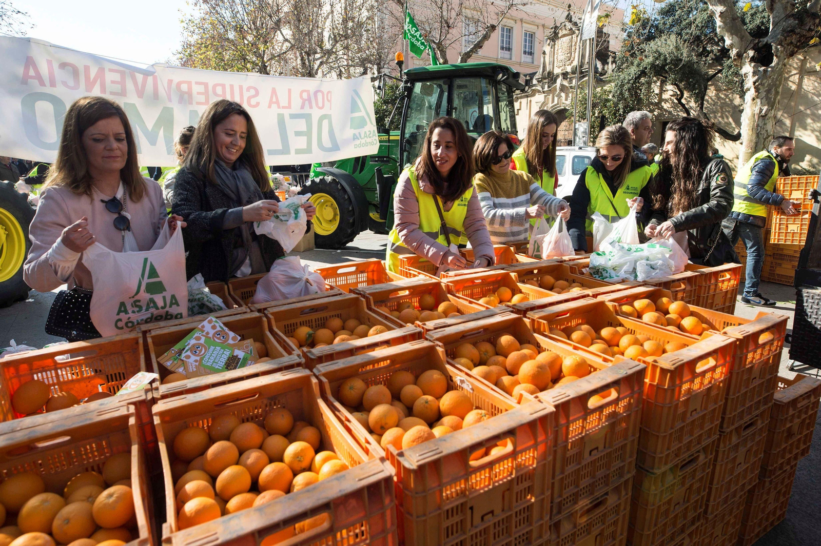 Mujeres recogen naranjas repartidas por Asaja en un acto en Córdoba.