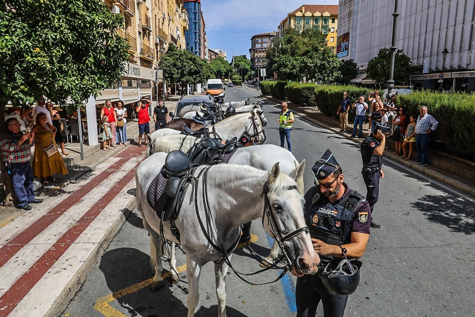 Imágenes del dispositivo de la Caballería de la Policía Nacional para la Magna Mariana