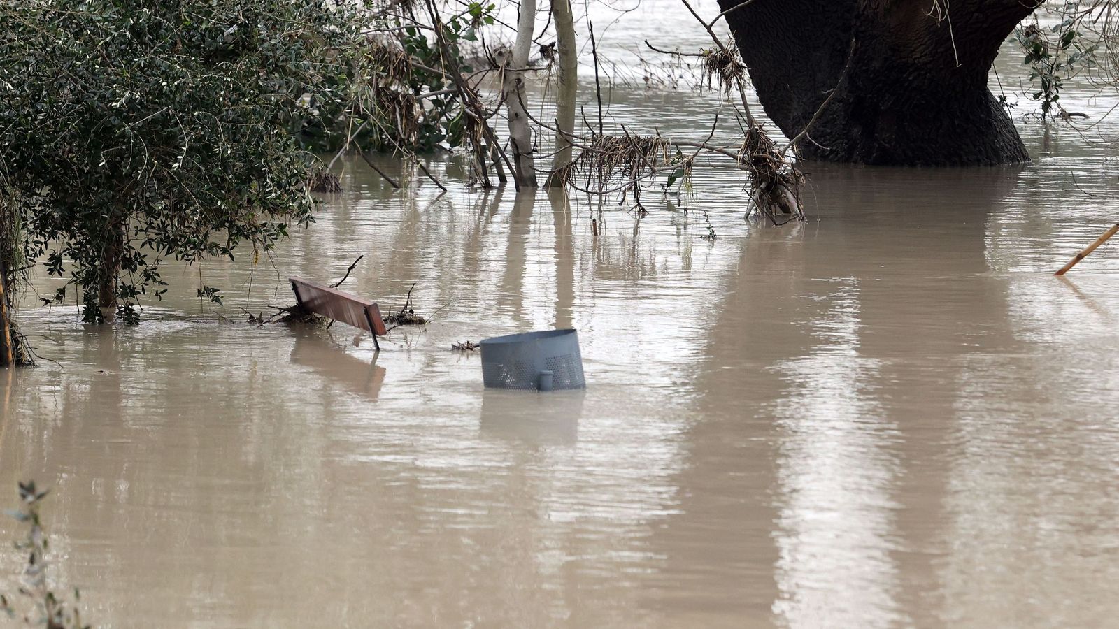 Ruta por la zona rural inundada de Jerez