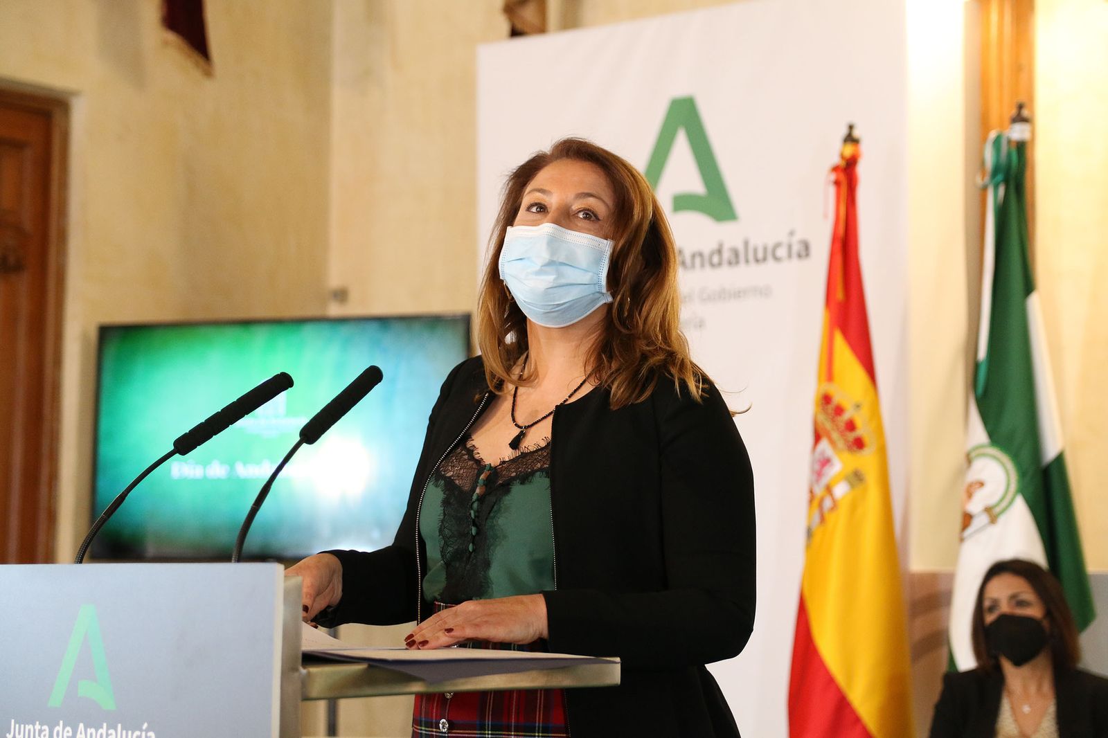 Fotogalería de la entrega de banderas por el Día de Andalucía