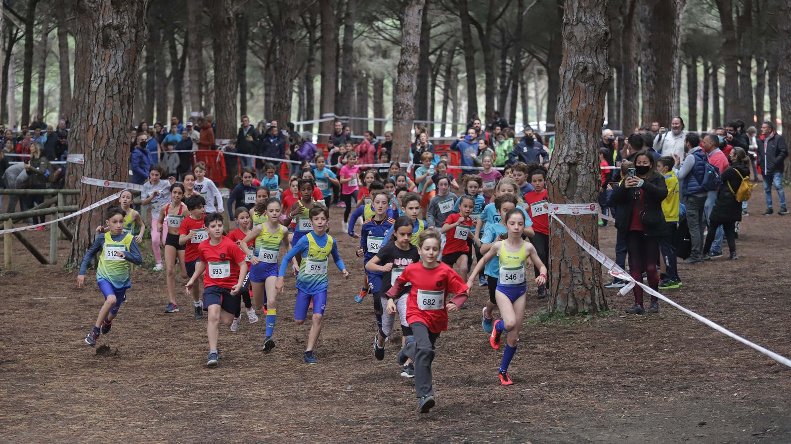 Fotos del III Cross Pinar del Rey en San Roque