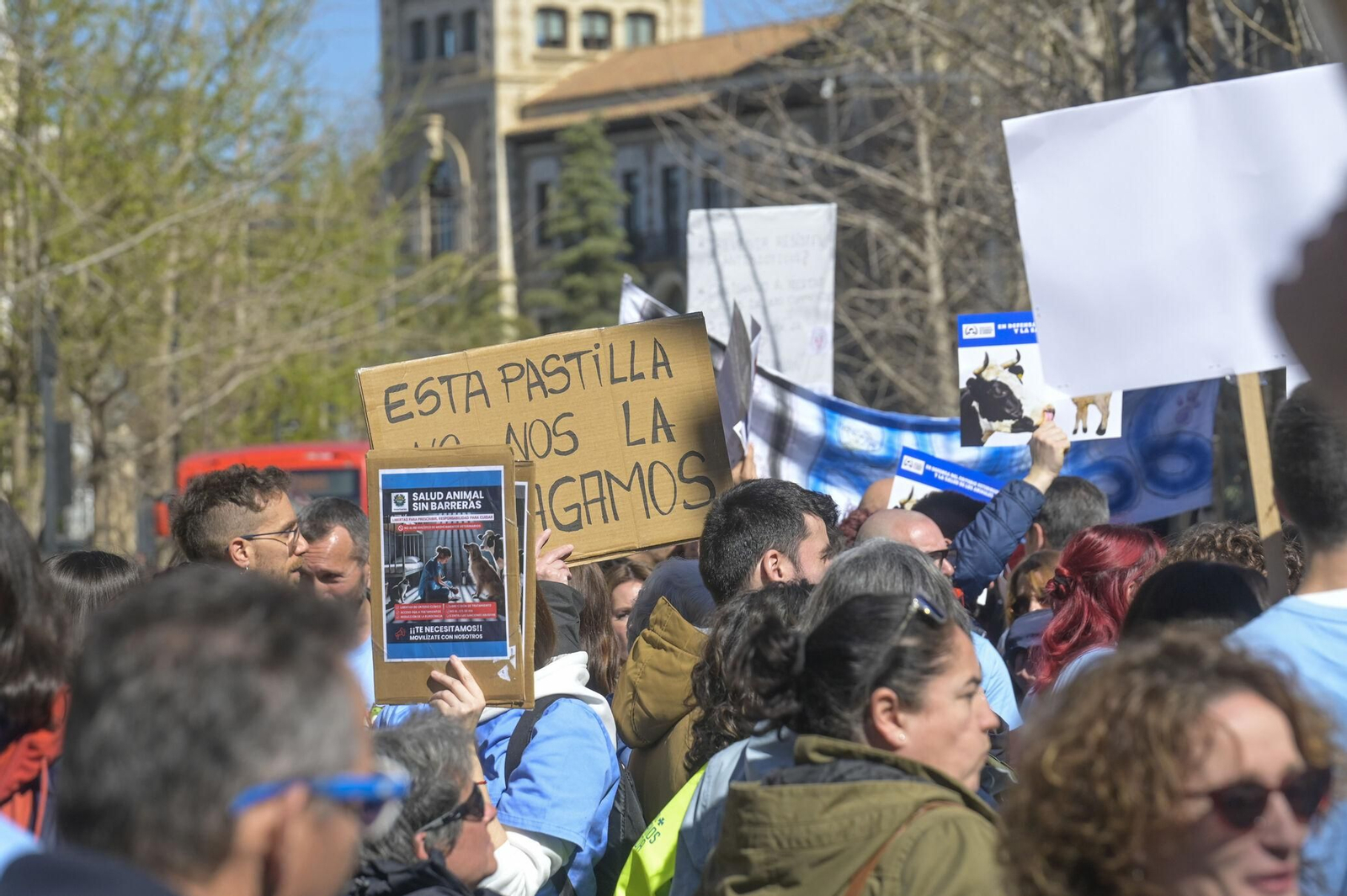 Las mejores imágenes de la manifestación de 300 veterinarios en Granada