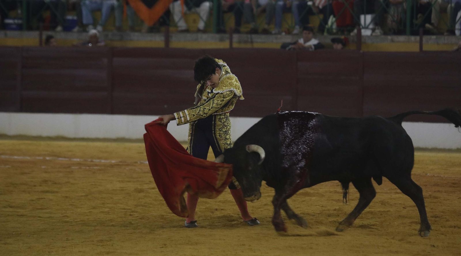 Fotos del triunfo de Manuel Roman y Javier Zulueta con la buena novillada de Núñez de Tarifa que abrió la Feria de La Línea