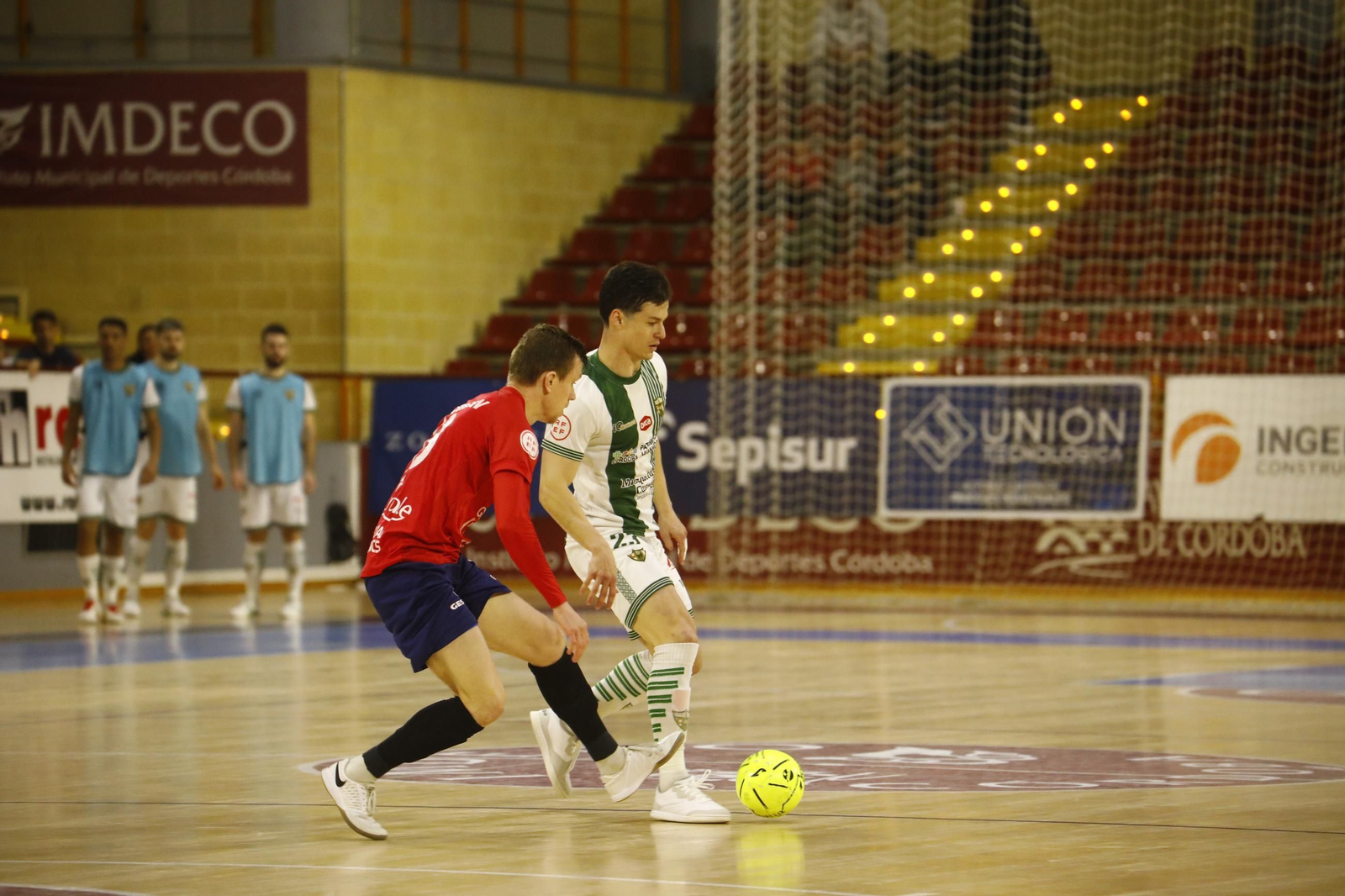 Las mejores fotos del Córdoba Futsal - Osasuna Magna en Vista Alegre