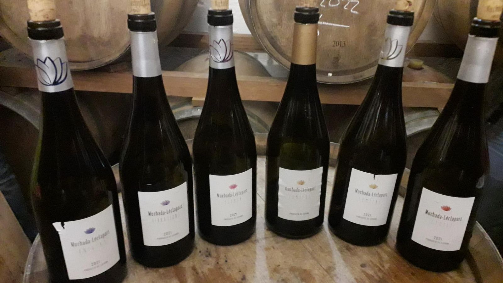 Añadas de los monovarietales de palomino y moscatel de Muchada-Léclapart. Añadas de los monovarietales de palomino y moscatel de Muchada-Léclapart.