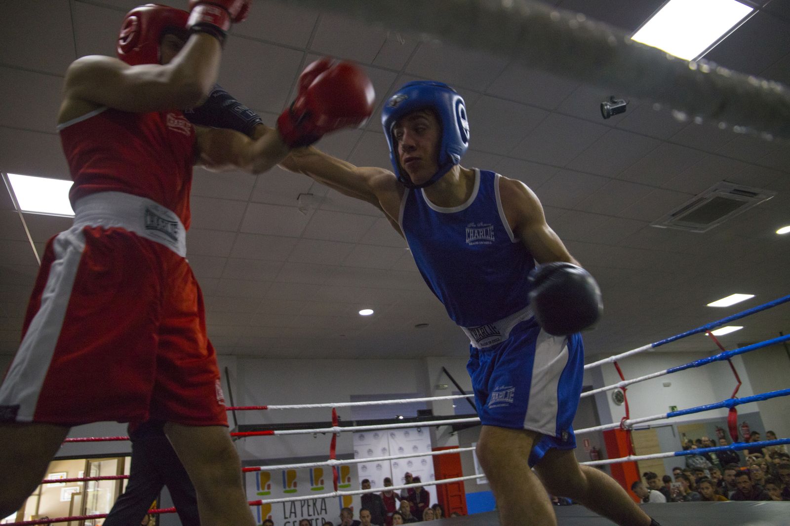 La cantera del boxeo granadino se luce en Armilla