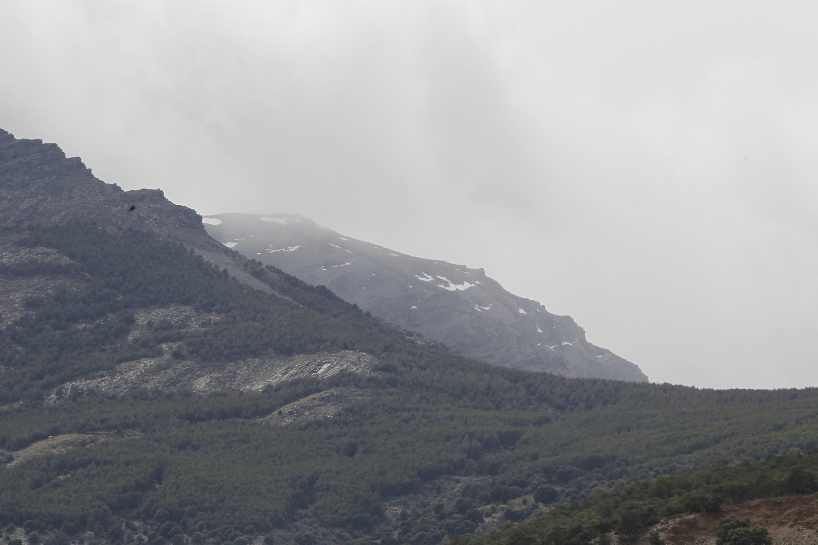 Naturaleza desconfinada. La Roza (Abrucena)