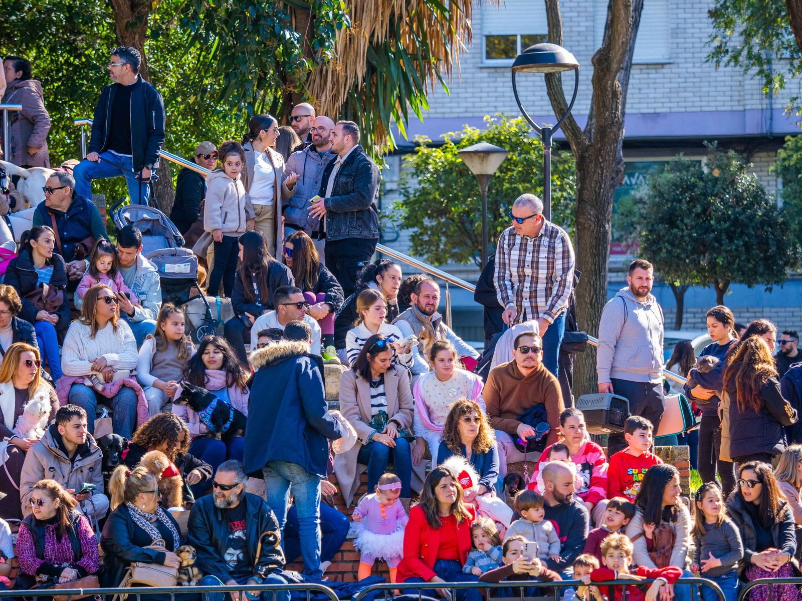 Las imágenes de San Antón 2025 en San Fernando