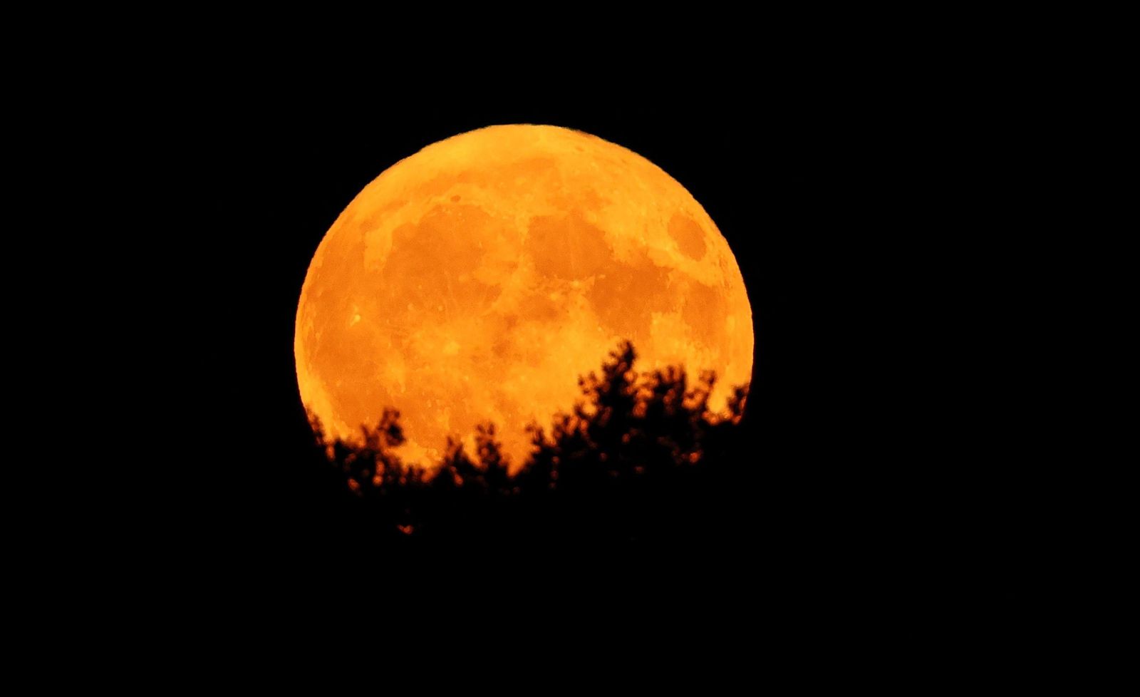 La Superluna azul captada en diferentes partes del planeta: un disfrute visual de la Luna del Esturión
