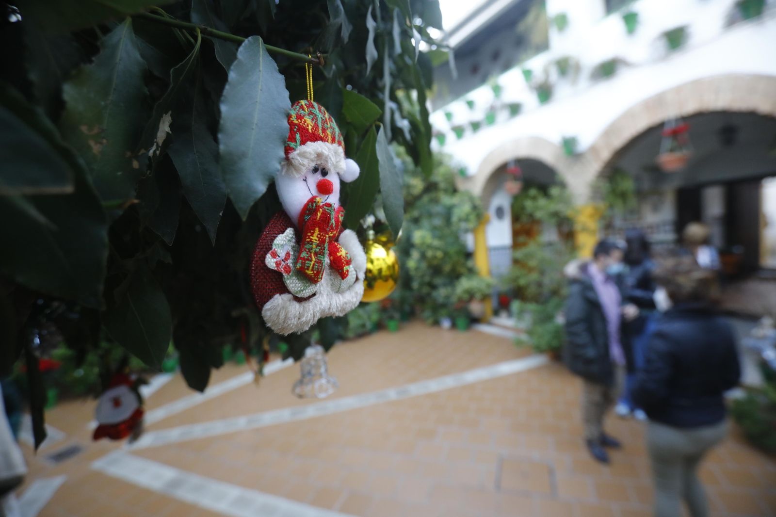 Las fotografías de los Patios de Córdoba en Navidad