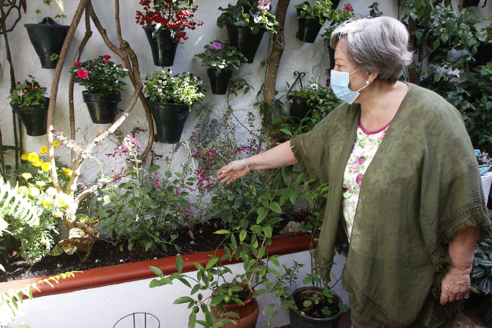 Las fotografías de los Patios de Córdoba en otoño