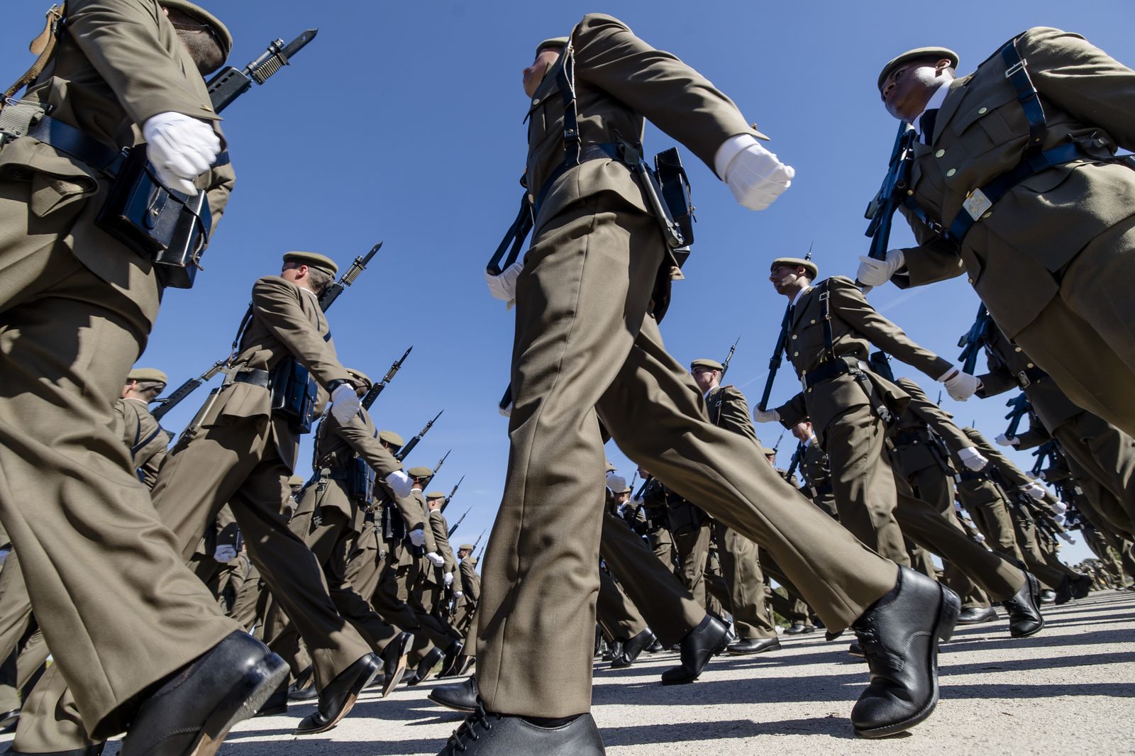 Las imágenes de la multitudinaria Jura de Bandera en Camposoto