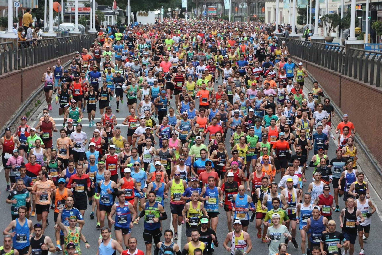 Las fotos de los ganadores del Zurich Maratón de Sevilla