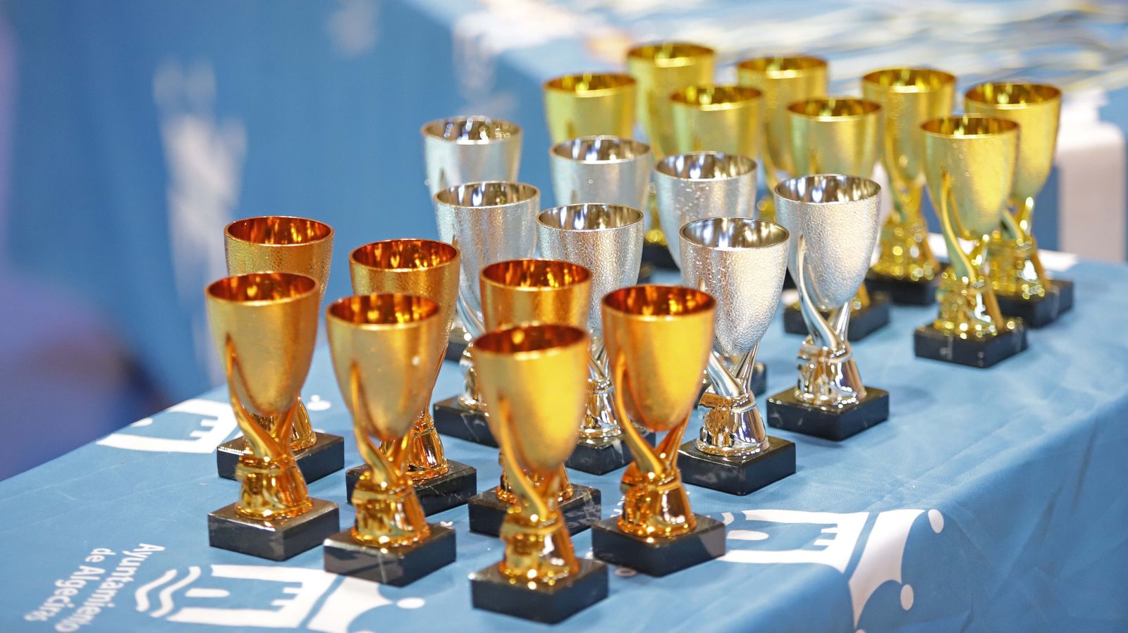 Fotos de la última jornada del Torneo Comarcal de gimnasia rítmica en Algeciras