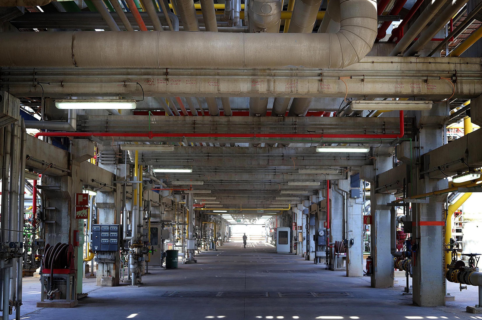 Cepsa fabrica combustible sostenible en el polo energético de La Rábida (Huelva) a partir de huesos de aceituna y otros residuos vegetales, en imágenes