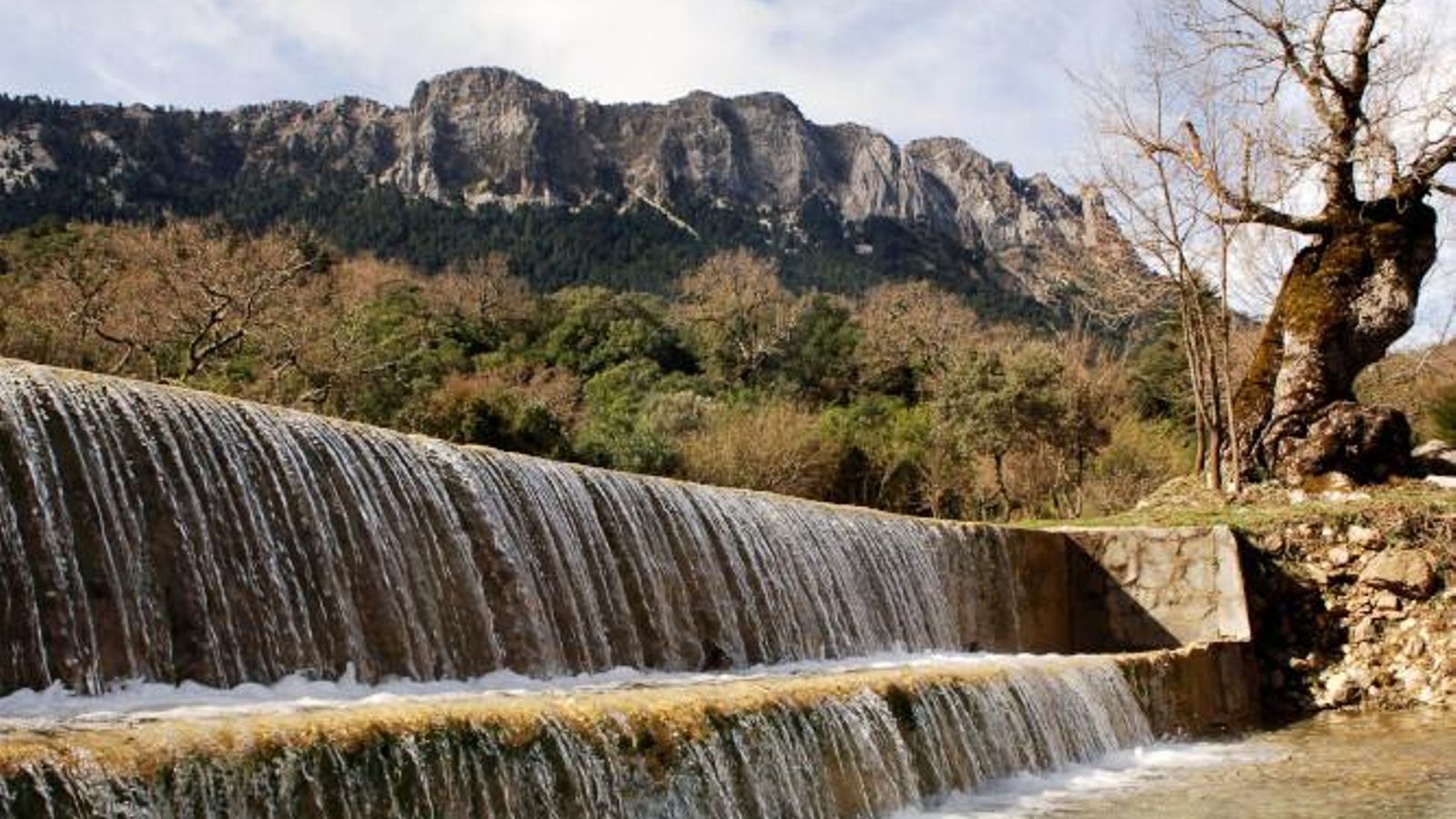 Vista del agua que baja del Pinsapar por los Llanos del Rabel.