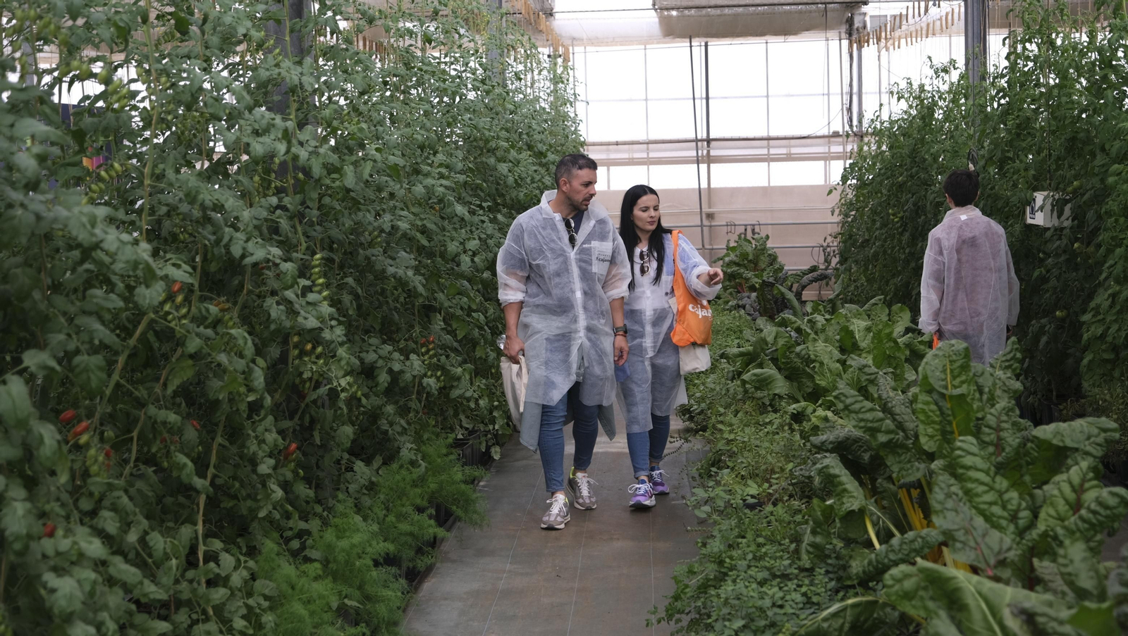 Imágenes del Foro Datagri en Las Palmerillas Cajamar