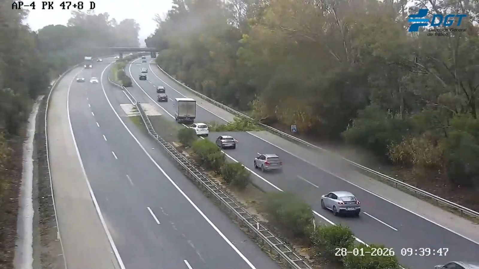 La rama de un árbol ha tenido cortado un carril de la AP-4