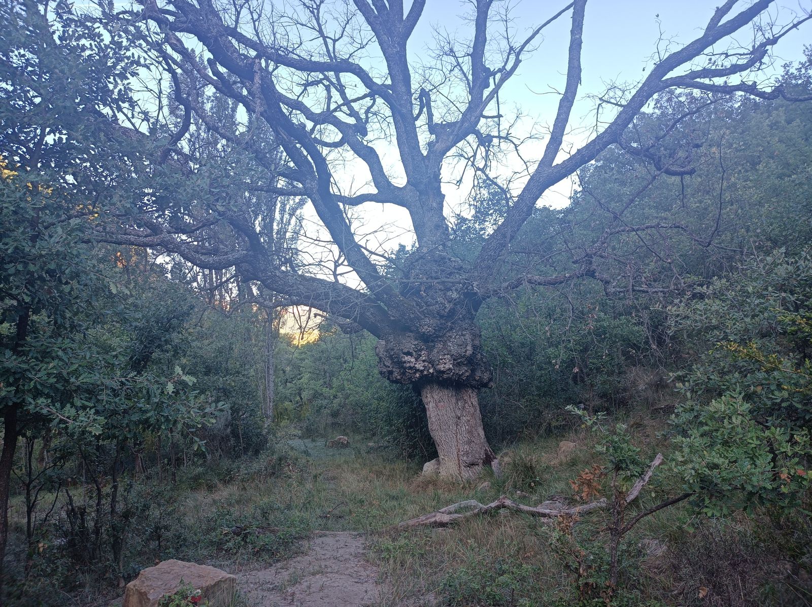 Tras Padinella, bajamos a un Barranco de la Costa.