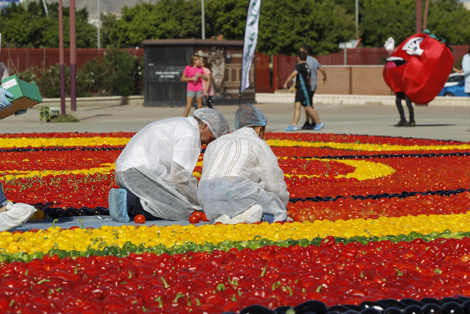 Fotogalería Récord Guinness Corazón Hortalizas Almería