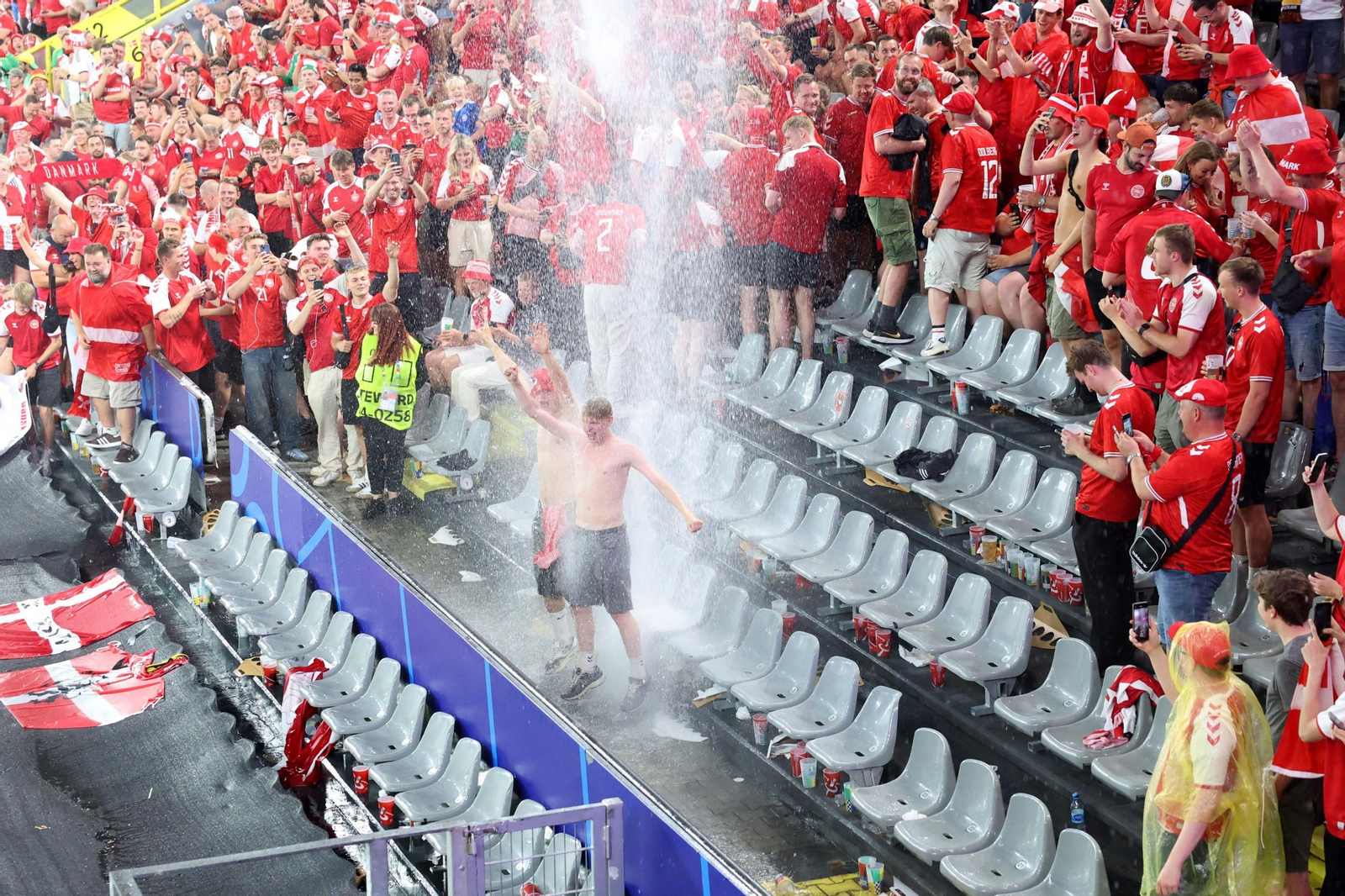Las mejores fotos del Alemania - Dinamarca