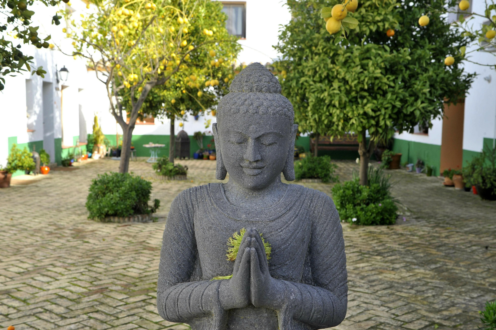 Suryalila: uno de los centros de yoga referente en España.