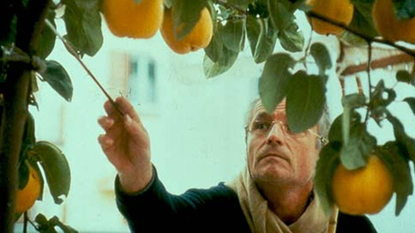 El triunfo de la ética sobre la estética en el trabajo del artista.