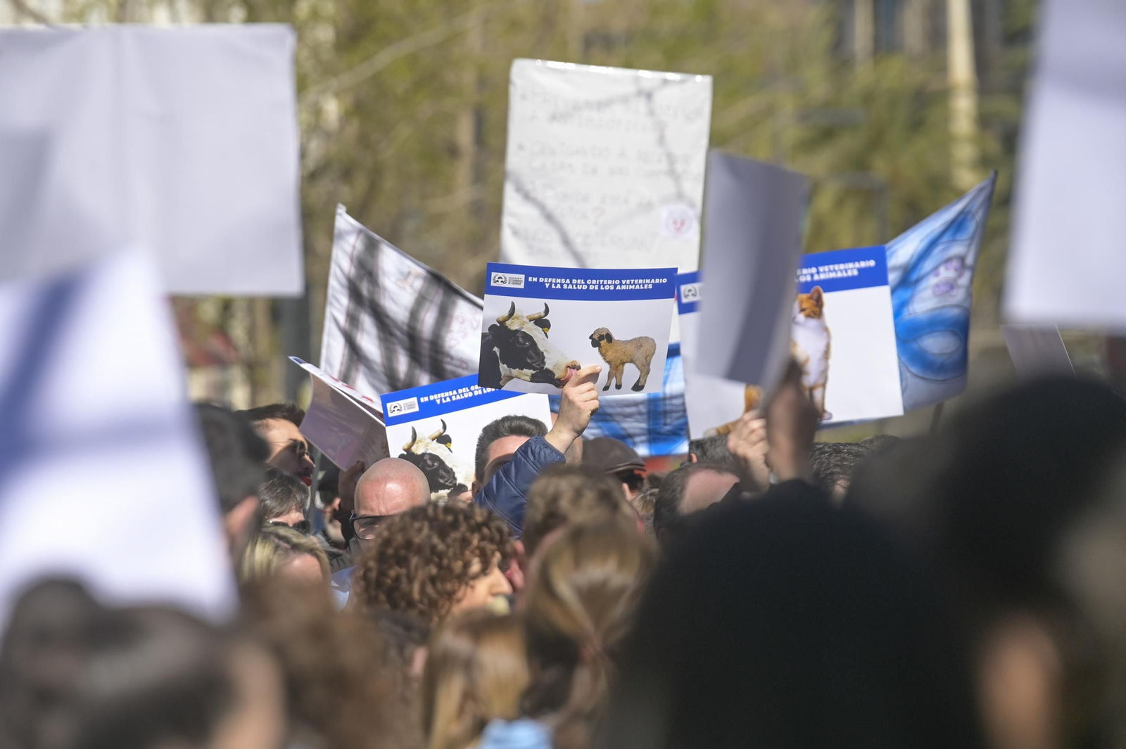 Las mejores imágenes de la manifestación de 300 veterinarios en Granada