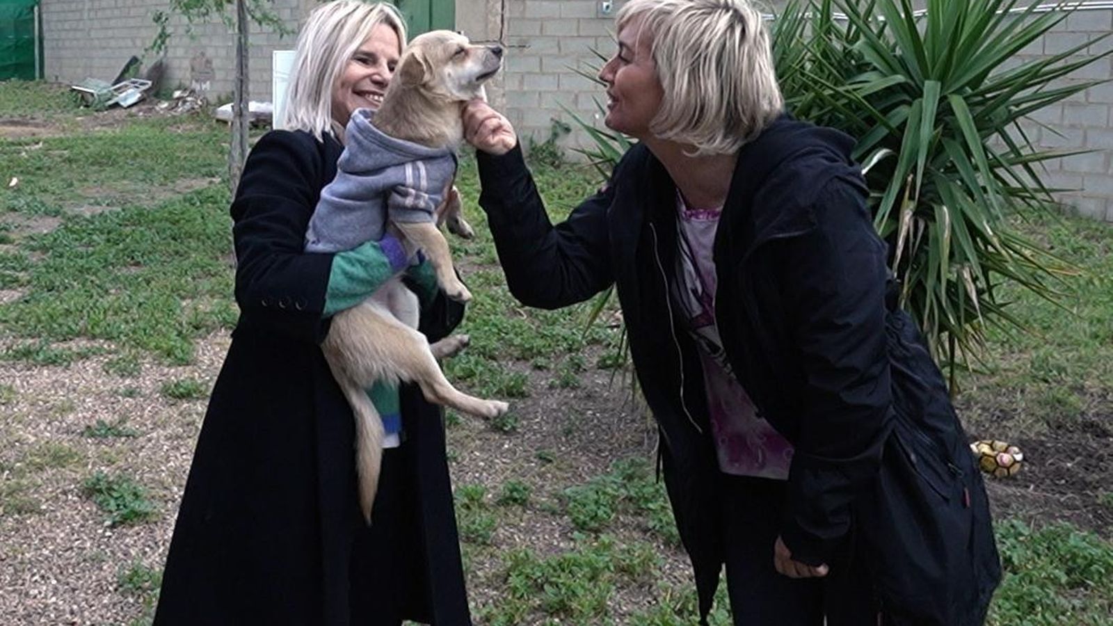 Eugenia en 'Patas arriba'