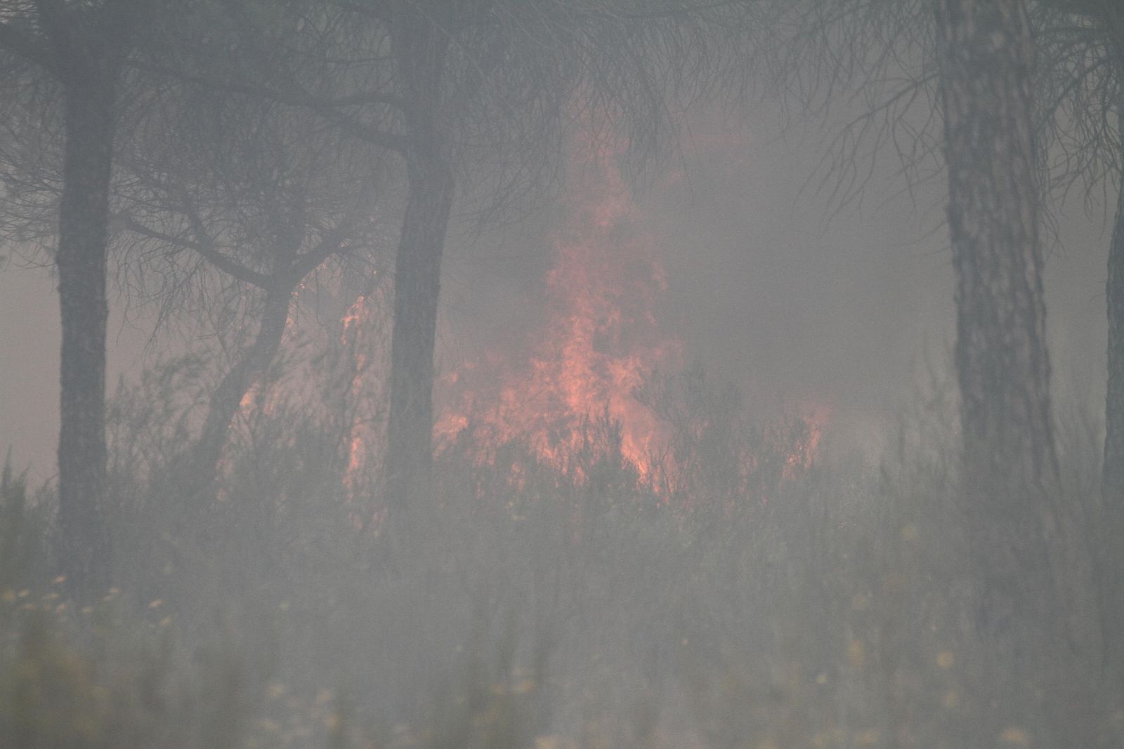 Las imágenes del incendio en Moguer y Mazagón