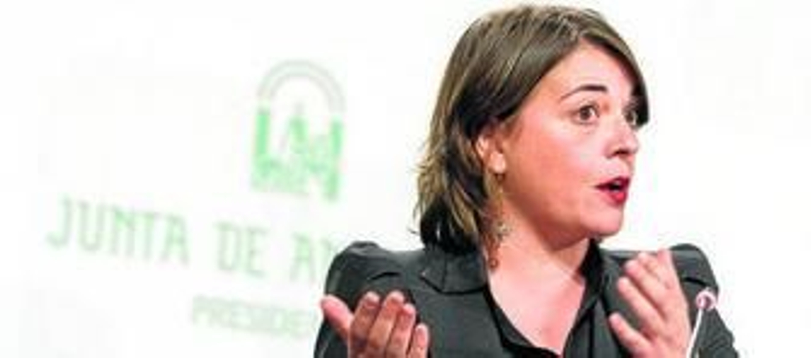 La consejera Elena Cortés, en una rueda de prensa.
