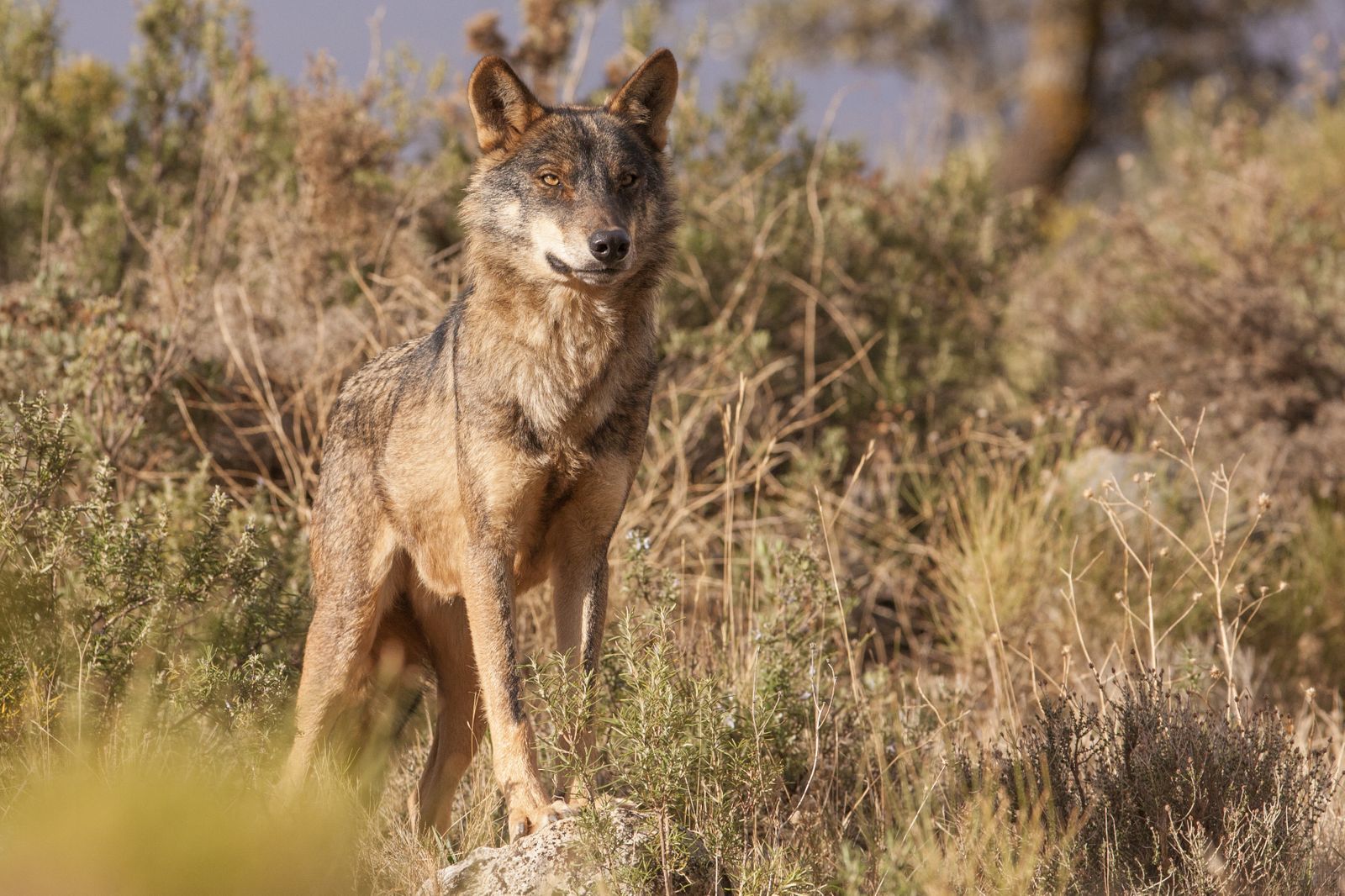 El año 2021 en Córdoba, en imágenes