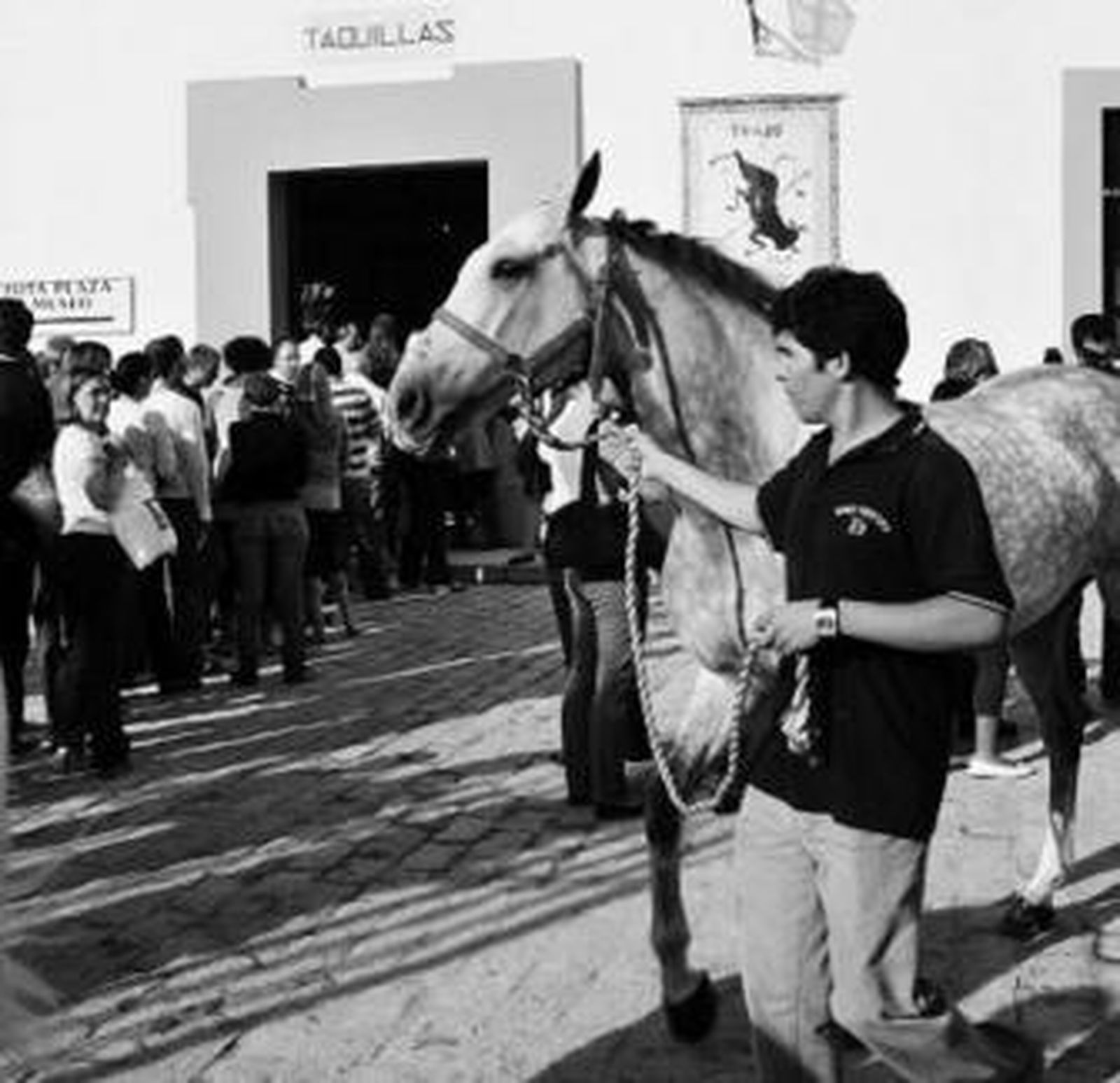 Espectadores contemplan los caballos al tiempo que devuelven entradas.