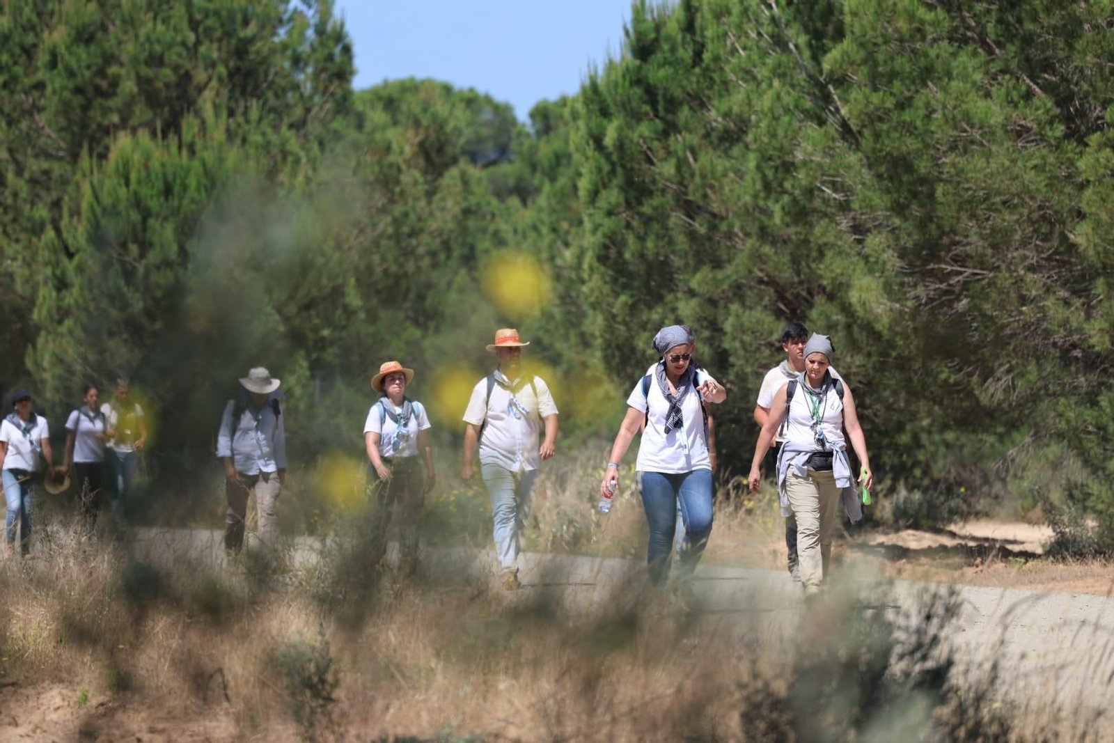 Ambientazo en el camino de Huelva al Rocío este viernes: imágenes de los peregrinos en La Matilla